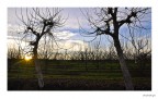 il sole che scende il sole che scende