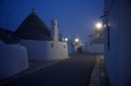 Vite nella nebbia Vite nella nebbia