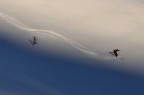 Freeride Freeride
