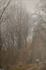 Alone in the Winter Alone in the Winter