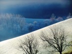 Ice Ice