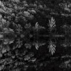 pedante ricerca tonale