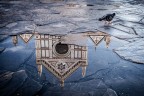 Firenze riflessa3