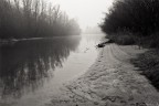 Morning fog Morning fog