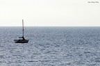 Fin che la barca va..!! Fin che la barca va..!!