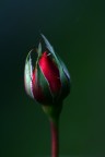 segni di primavera segni di primavera