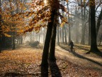 Pedalando nel parco