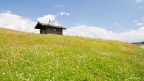 Rodenecker Alm - Alpe di Rodengo (BZ) #2
