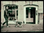 Dog walking@Amsterdam Dog walking@Amsterdam