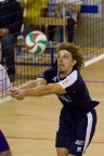 Volley Volley