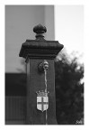 Il simbolo di Milano Il simbolo di Milano