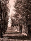 SWEET ALLEY SWEET ALLEY