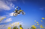 volare.... volare....
