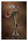Vaso con fiori recisi
