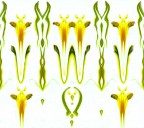 .... domani sar� primavera