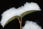 Il peso dell'inverno Il peso dell'inverno