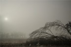 Quando il sole...ebbe vergogna Quando il sole...ebbe vergogna
