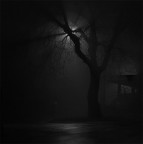 Nebbia Nebbia