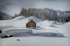 Snowy Snowy