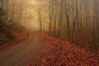 Autunno Autunno