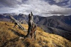 Sentinels Sentinels