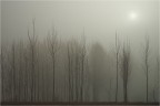 Impressioni... Impressioni...