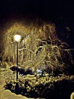 notturno con lampione notturno con lampione