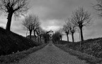 Lungo il viale Lungo il viale