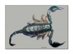 The Black Skorpion The Black Skorpion