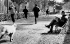 Correte voi, adesso! Correte voi, adesso!