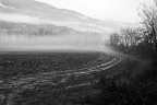 Misty morning Misty morning