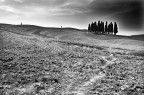 Toscana 5 Toscana 5
