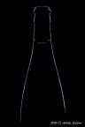 linee di vino linee di vino