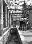 Pompei
Casa detta di Loreio Tiburtino, appartenuta a D. Octavius Quartio (II sec. a.C.) 

Scansione da pellicola Ilford FP4 
Yashica FR con 105 mm