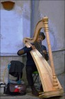 Il musicista