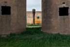 Tutta colpa del Punteruolo Rosso Tutta colpa del Punteruolo Rosso