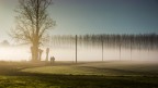 ombre nella nebbia ombre nella nebbia