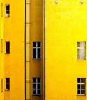 only yellow only yellow