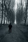 Nel ciclone Nel ciclone