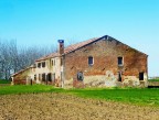 testimonianze- nella campagna veneta- testimonianze- nella campagna veneta-