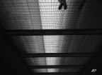 street photography #22# street photography #22#