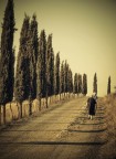 Insieme... Insieme...