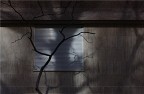 L'ombra