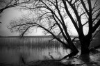 lago di Vico lago di Vico