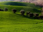Un nuovo giorno Un nuovo giorno