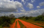 Red road wild!!!! Red road wild!!!!