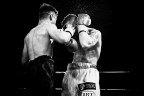 BOXE BOXE