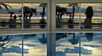 Riflessi al tramonto