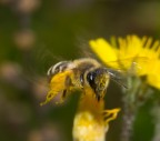 S.T. 0041 S.T. 0041