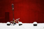 oggi neve oggi neve
